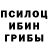 Псилоцибиновые грибы Psilocybine cubensis EKIVOK MAN